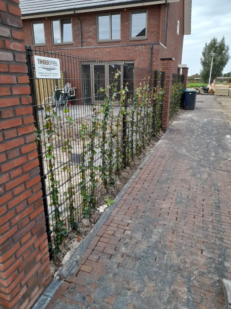 Projecten Zwolle