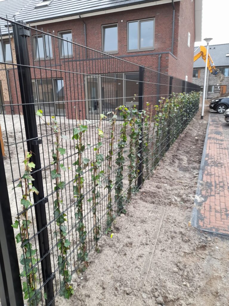 Projecten Zwolle